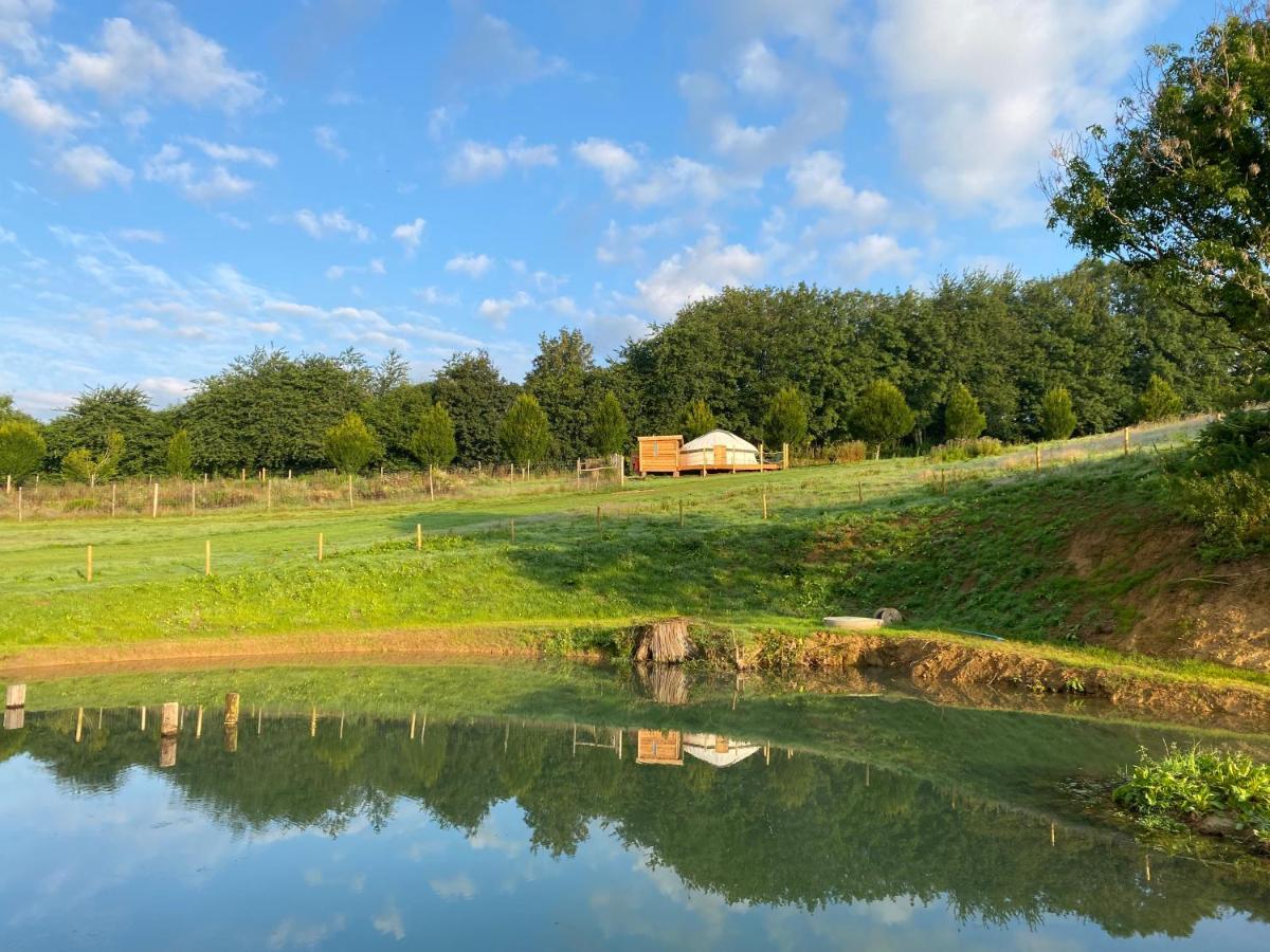 Bracken Yurt At Walnut Farm Glamping Hotell Netherbury Exteriör bild