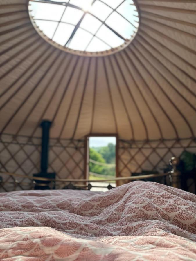 Bracken Yurt At Walnut Farm Glamping Hotell Netherbury Exteriör bild